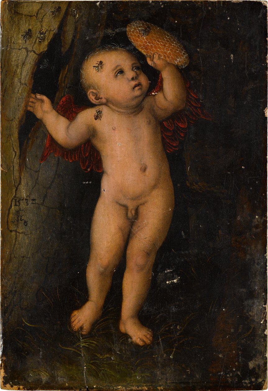 Amor als Honigdieb (Fragment) door Lucas Cranach