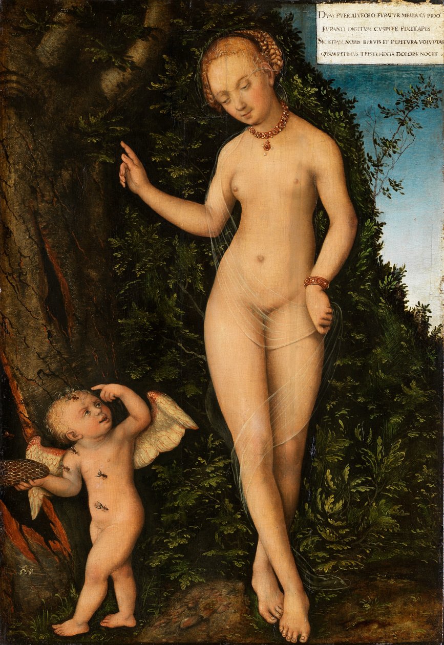 Duits: Venus mit Amor als Honigdieb Venus met Cupido de Honingdief door Lucas Cranach the Elder