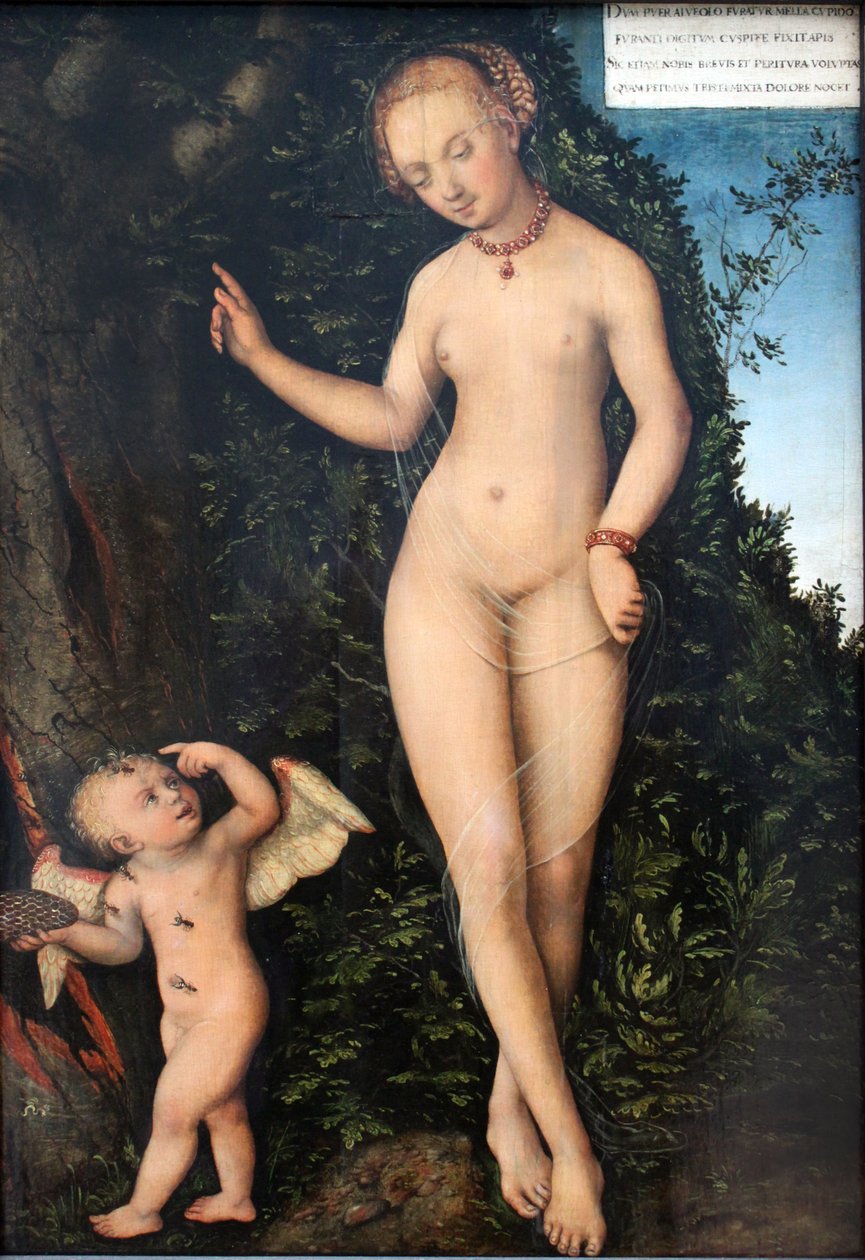 Venus en Cupido, de honingdief door Lucas Cranach the Elder
