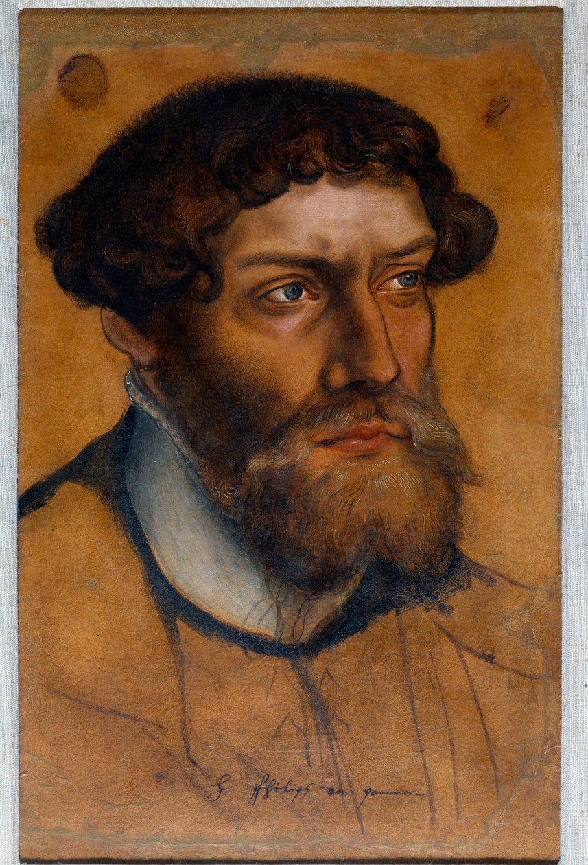 Portret van Filips I van Pommeren, Prins van de Hervorming door Lucas the Elder Cranach