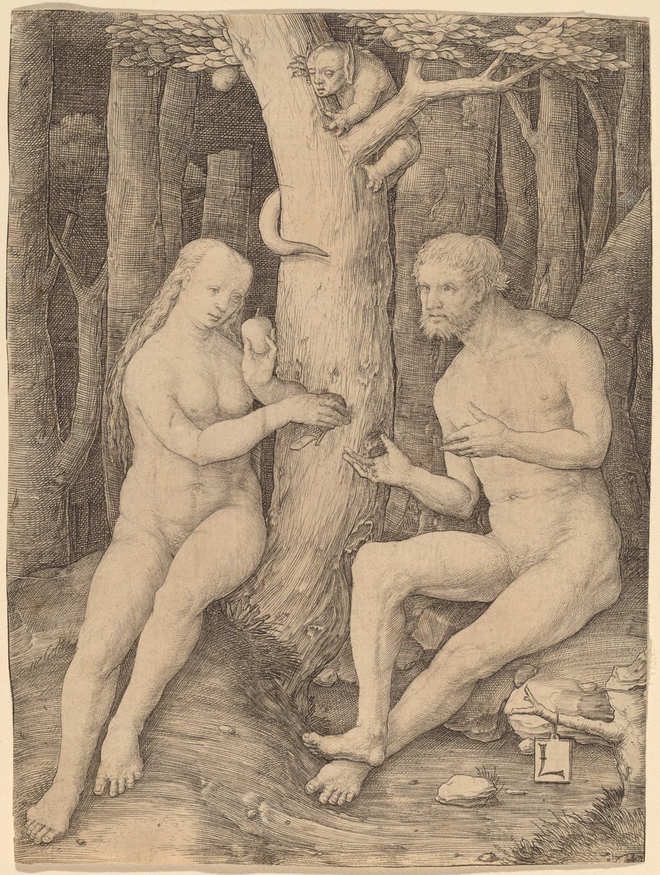 De val van de mens door Lucas van Leyden