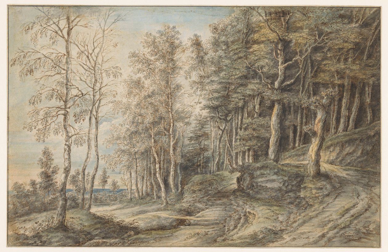 Boslandschap door Lucas van Uden