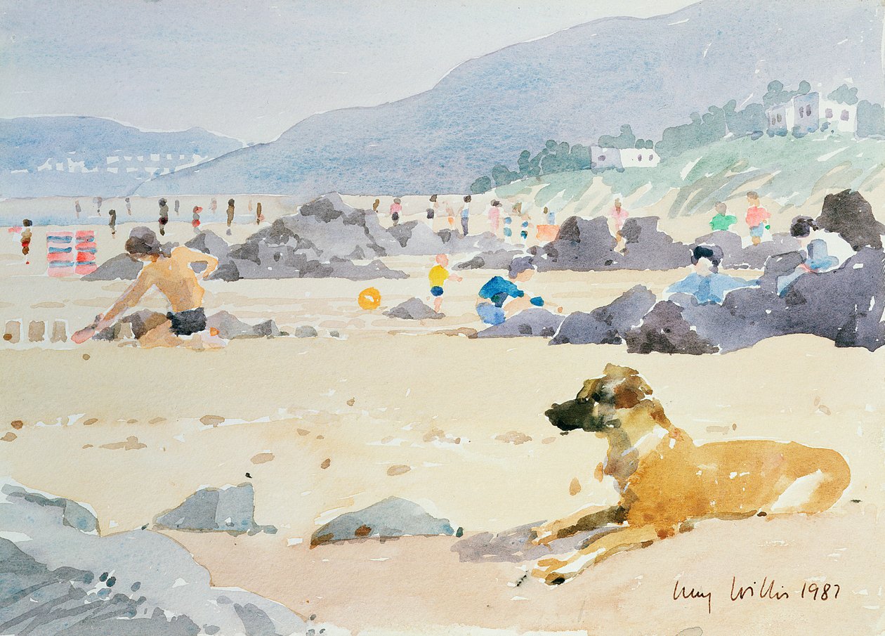 Hond op het Strand, Woolacombe, 1987 door Lucy Willis