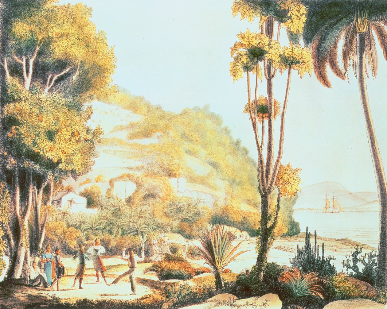 Uitzicht op de kust van Brazilië tegenover het eiland Santa Catarina, c.1825 door Ludwig Choris
