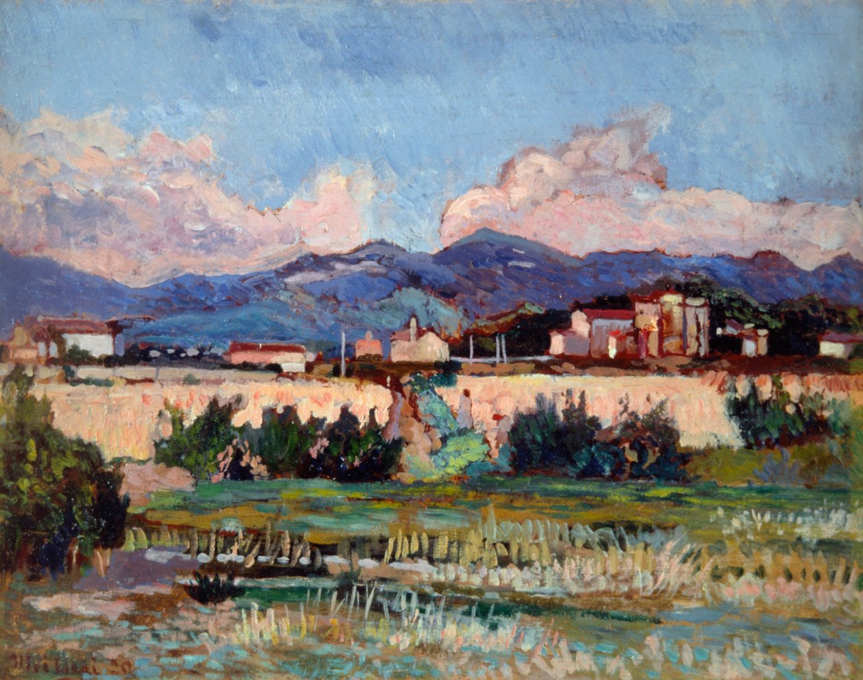Huizen en tuinen in Ardenza, door Ulvi Liegi (1858-1939) door Luigi Levi