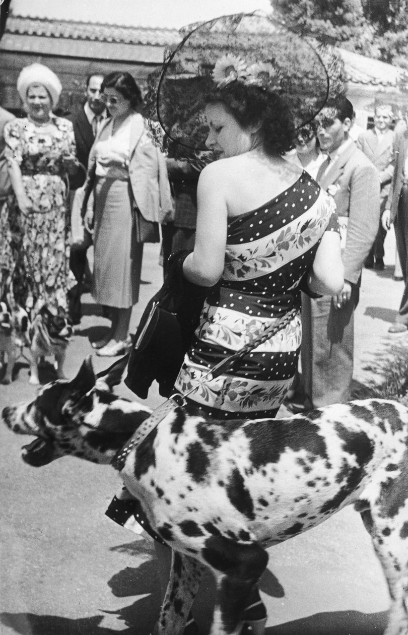 Portret van een dame met een Duitse Dog door Luigi Leoni