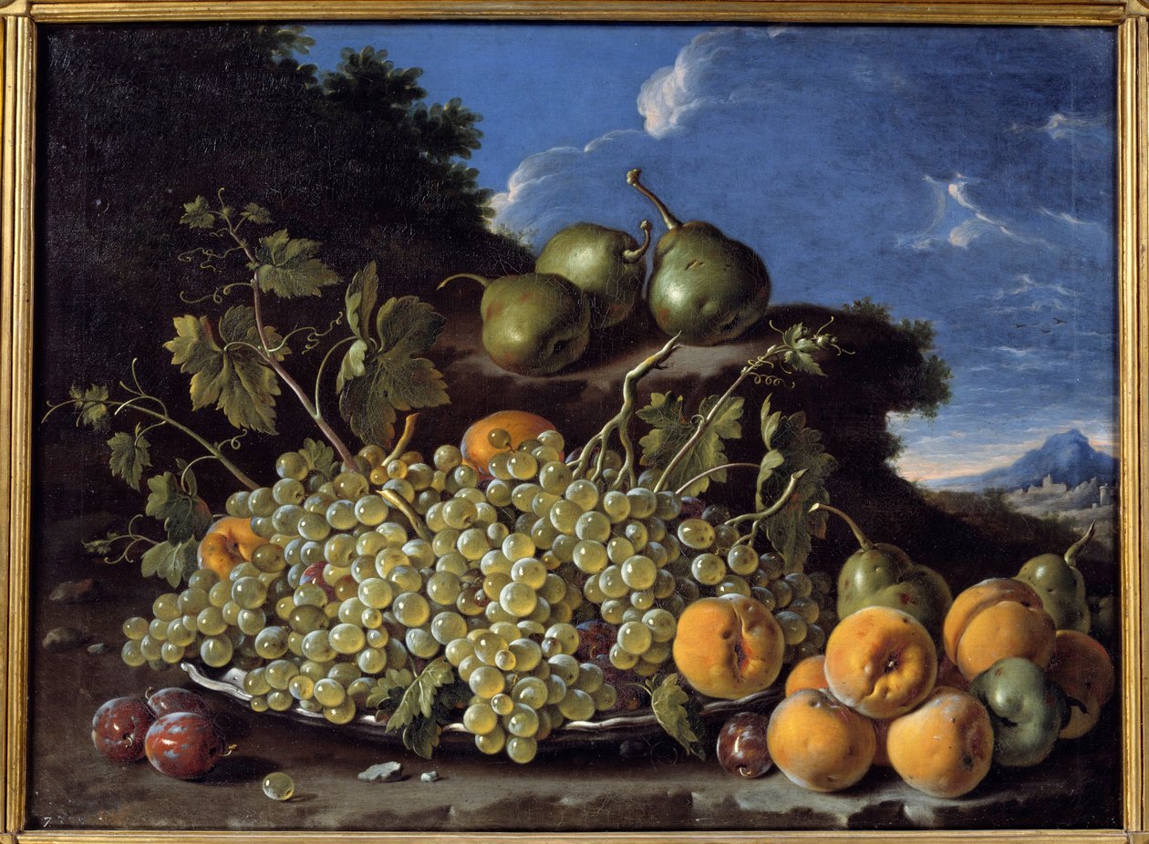 Druiven, peren, perziken en pruimen door Luis Egidio Menendez or Melendez