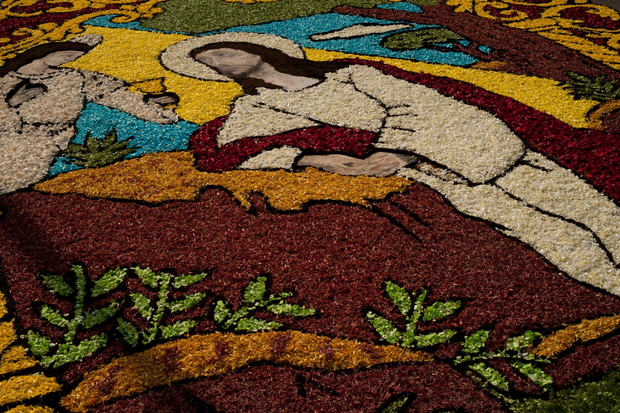 Heilige Week Surco Bloementapijt, Lima, Peru, 2015 door Luis Rosendo.