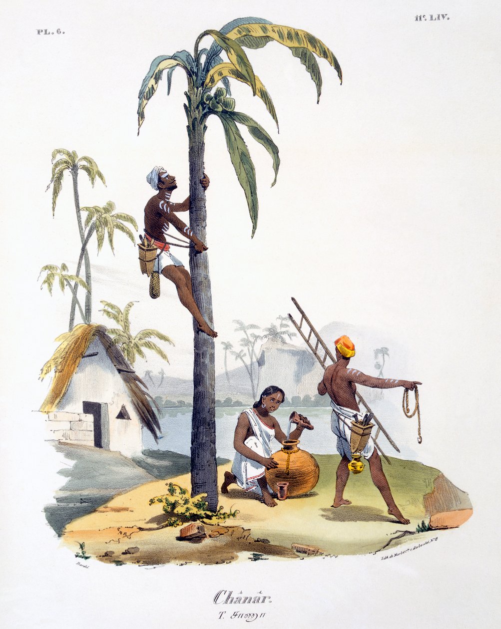 Een man van de Nadar-kaste die een palmboom beklimt, 1827-35 door M.E. Burnouf