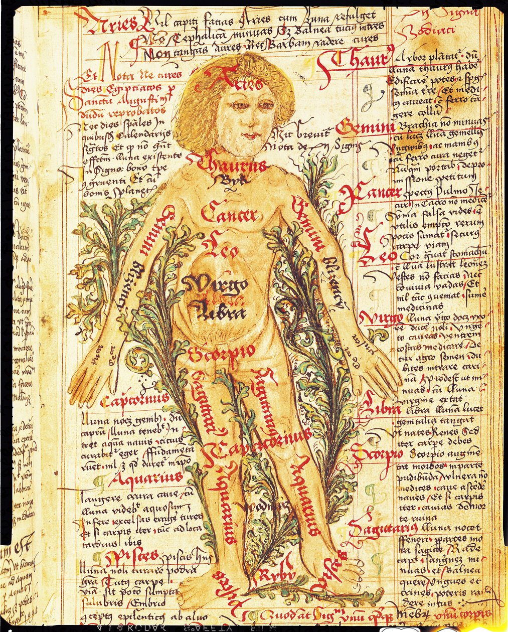 Invloed van de sterren op ziektes van het menselijk lichaam, uit Tractatus de Pestilencia door M, Albik