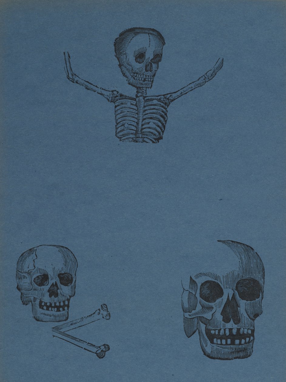 Studies van schedels en skeletten, uit 330 Grabados Originales, gedrukt door Antonio Vanegas Arroyo (1850-1917), Mexico-Stad, Mexico (reliëfgravure) door Manuel Manilla