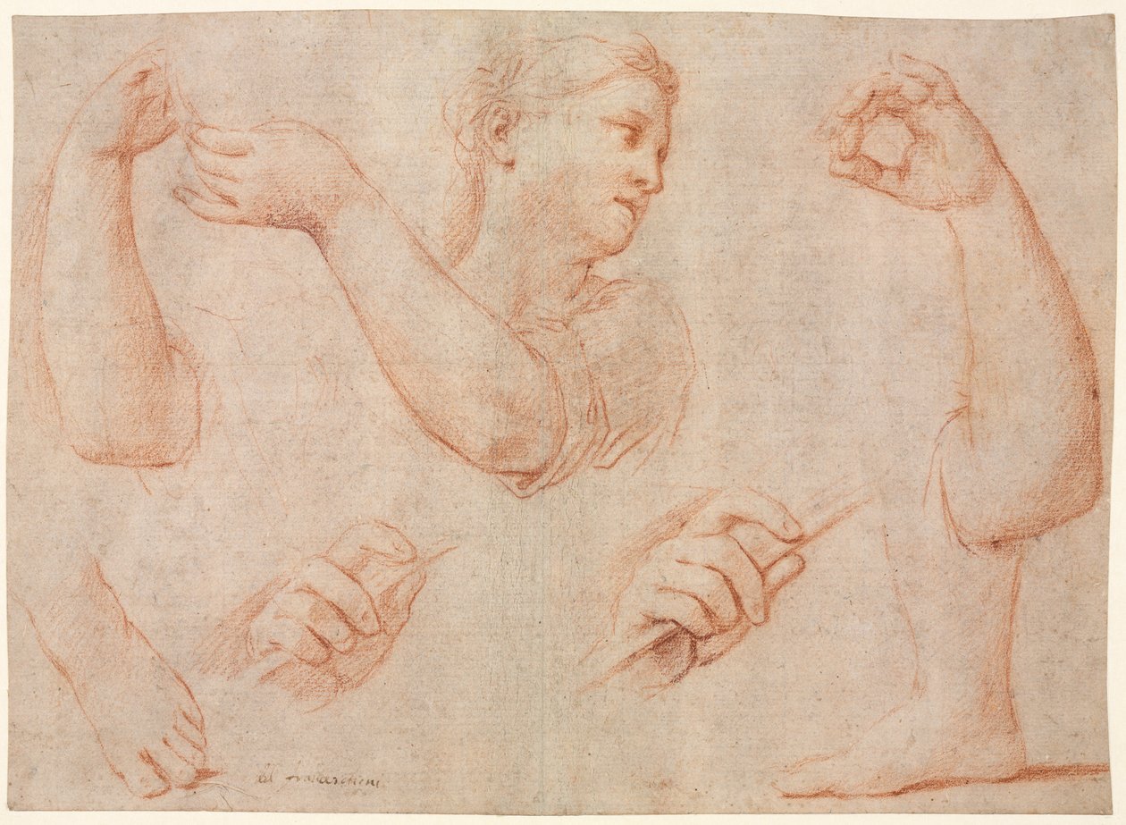 Studie van een Jonge Vrouw die een Tamboerijn Speelt, en Studies van een Arm, Handen en Voeten (Studies voor "Miriam die het Koor van Vrouwen Leidt die Dankzeggen voor de Nederlaag van Farao" door Marcantonio Franceschini