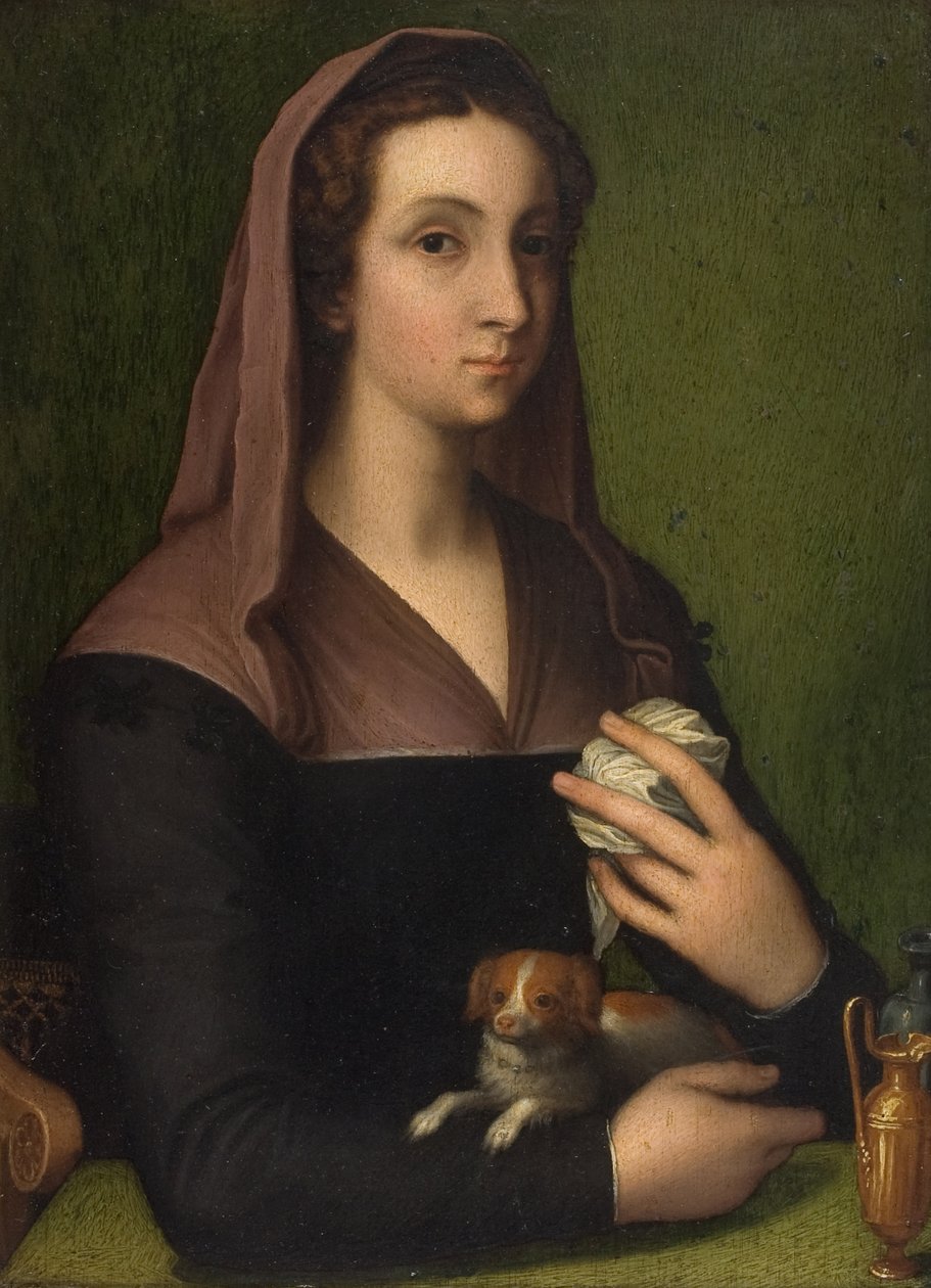Portret van een dame door Marcello (follower of) Venusti