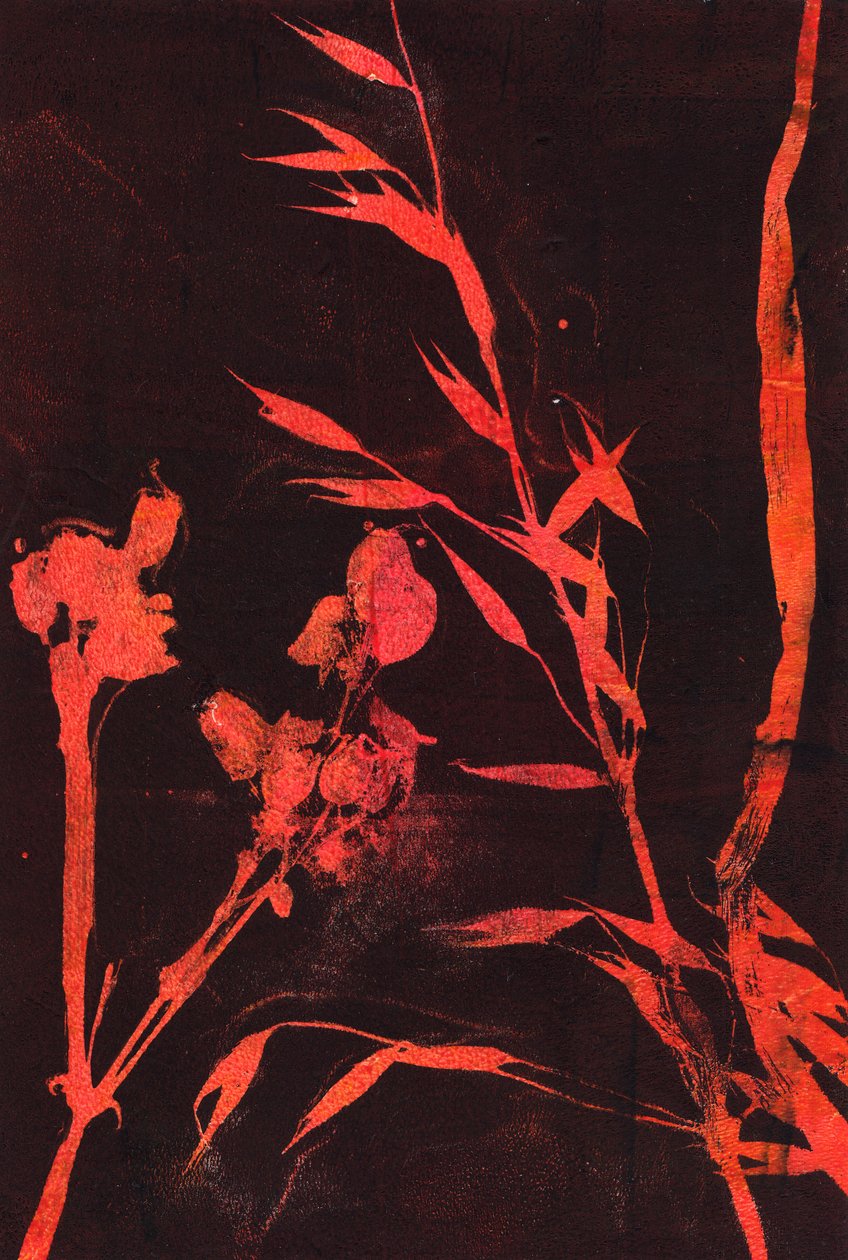 Rode bladeren, 2024 (monotype) door Marco Campedelli