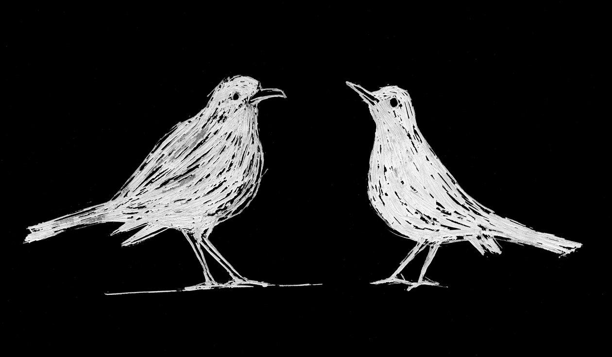 Twee witte merels, 2017 (kraskarton op papier) door Marco Campedelli
