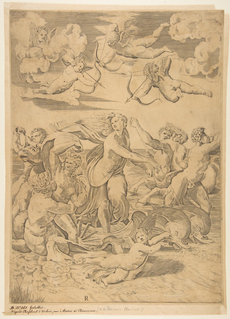 Galatea rijdend in een schelp getrokken door dolfijnen, een cupido eronder door Marco Dente