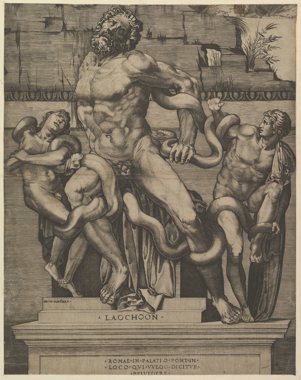 Speculum Romanae Magnificentiae: Laocoon door Marco Dente