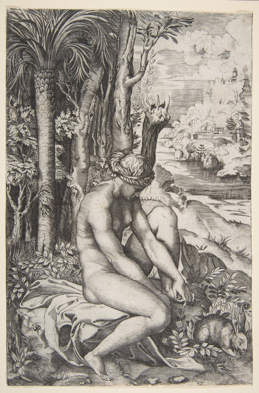 Venus die een Doorn uit haar Linkervoet Verwijdert terwijl ze op een Doek naast Bomen Zit, ca. 1515-27 door Marco Dente
