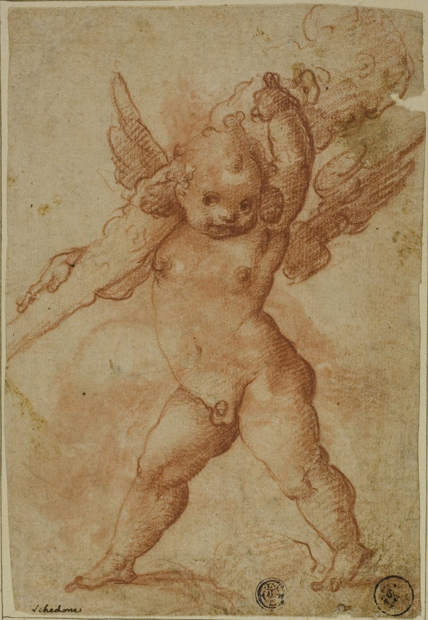 Putto met Knots van Hercules door Marco Marchetti