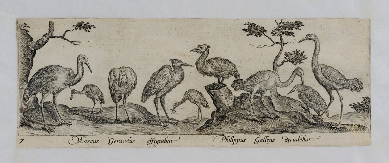 Oude meester gravure door Marcus Gheeraerts