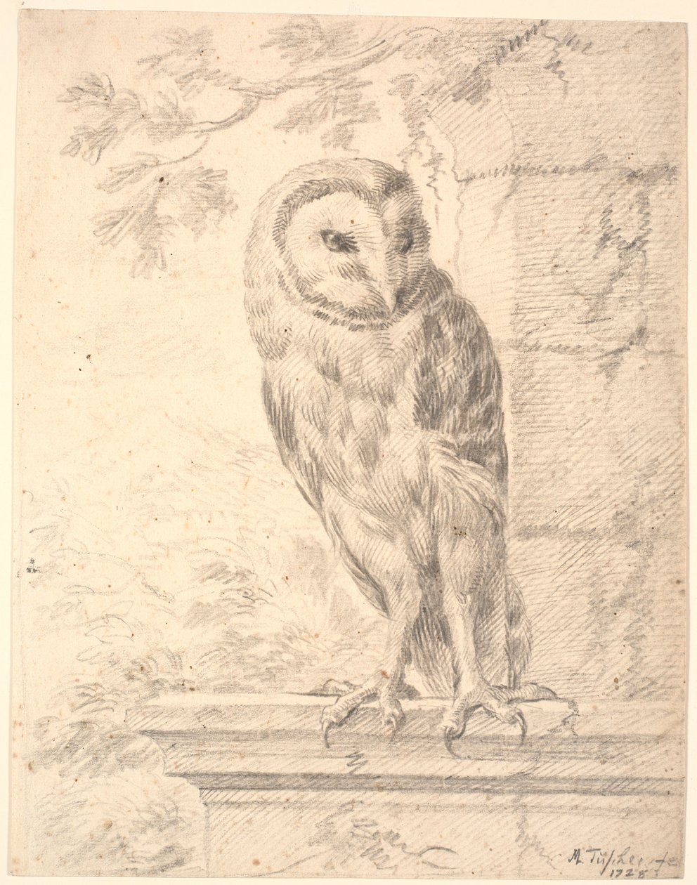 Baron von Stoschs uil door Marcus Tuscher