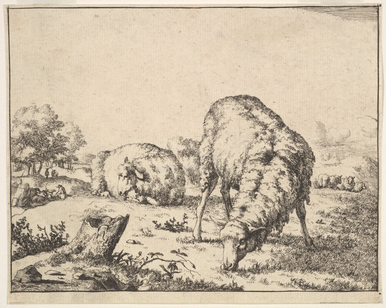 Schapen, uit een set van 16 platen, 1664 door Marcus de Bye