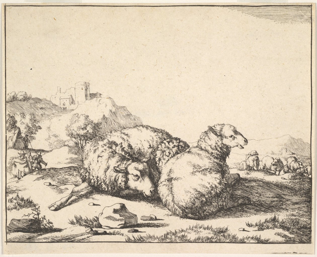 Schapen, uit een set van 16 platen, 1664 door Marcus de Bye