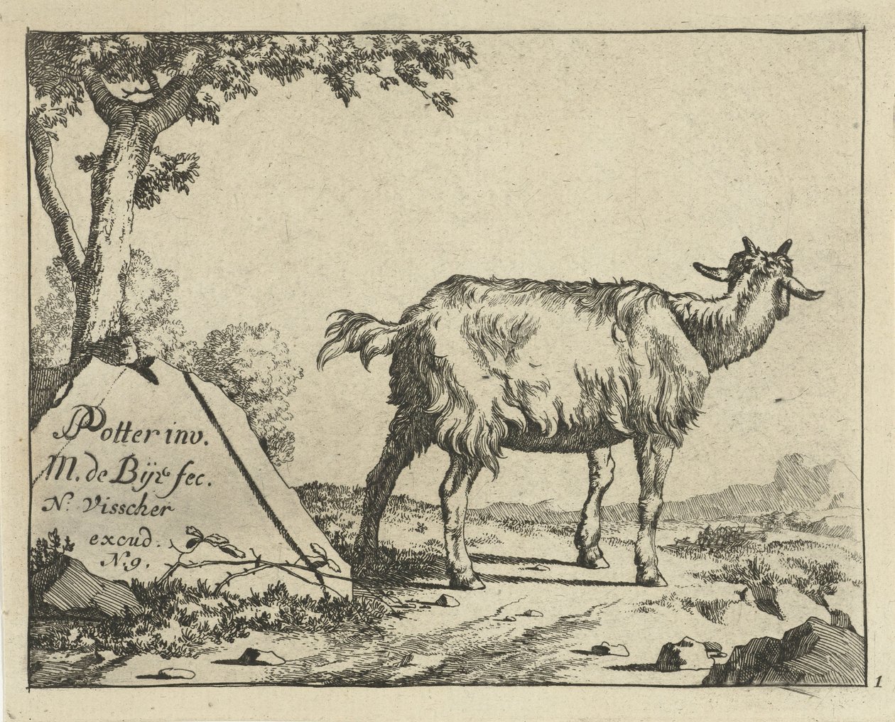 Staande geit van achter gezien door Marcus de Bye