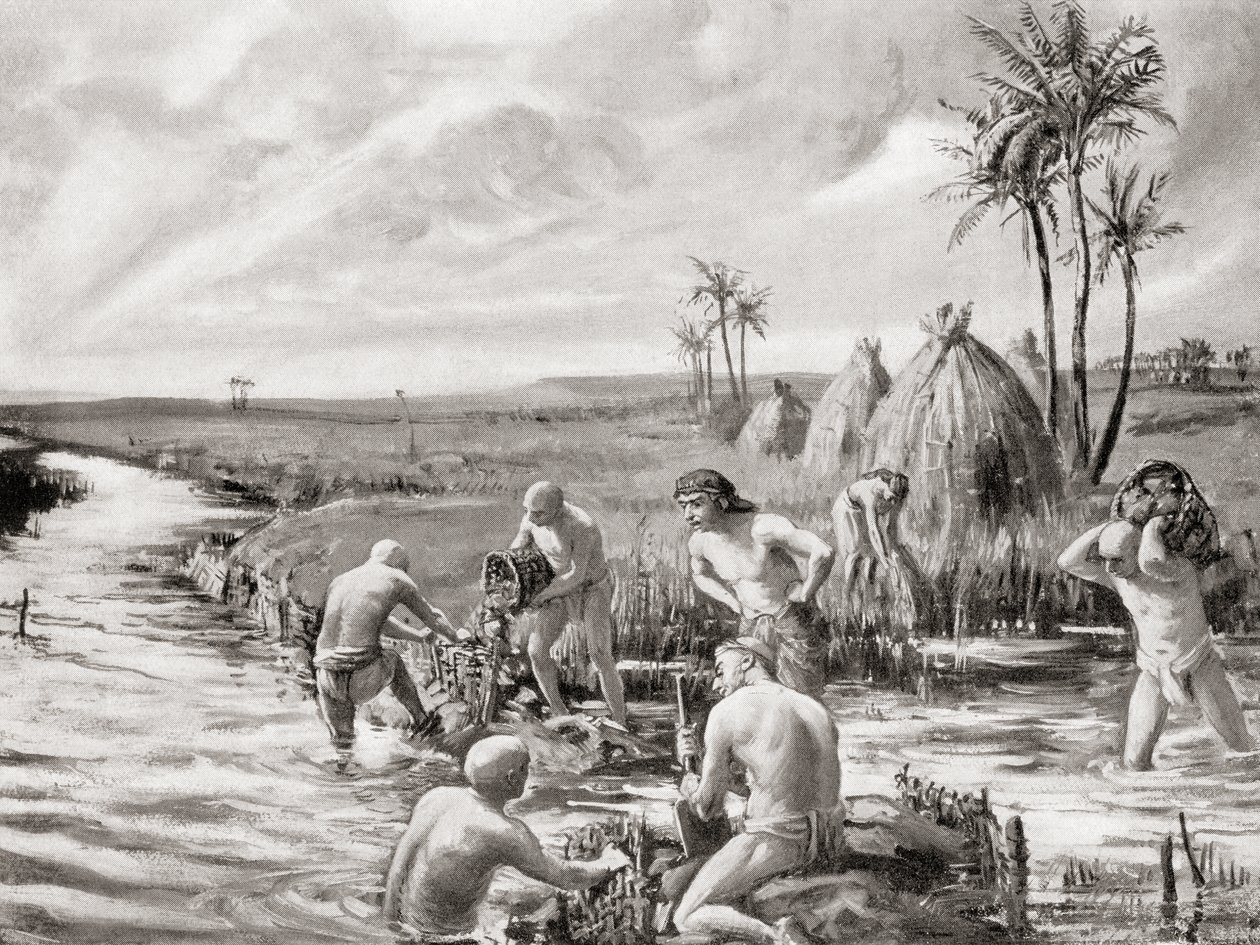 Vroege kolonisten in Babylonië draineren de moerassen door een dam te bouwen, uit Hutchinson