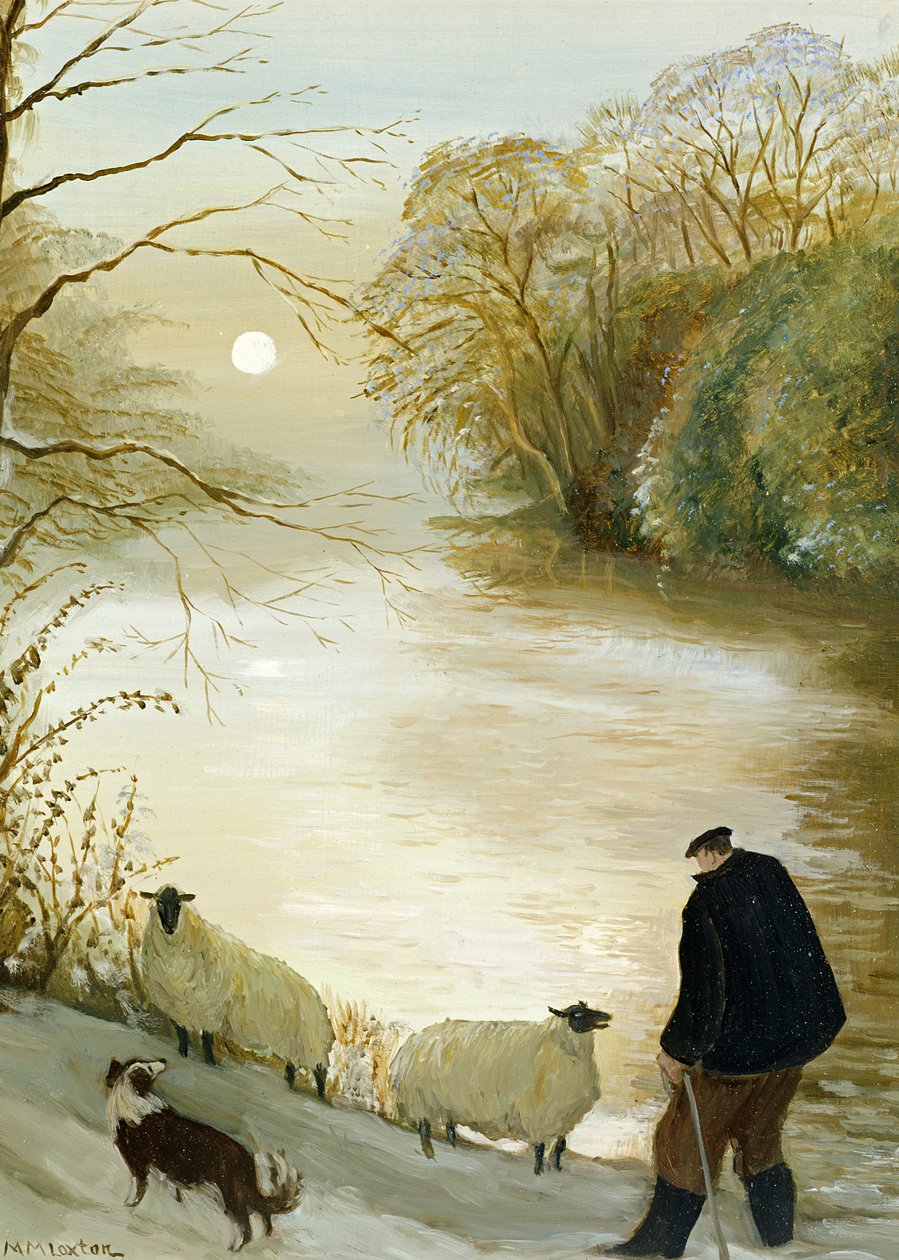 Het verdwaalde schaap door Margaret Loxton