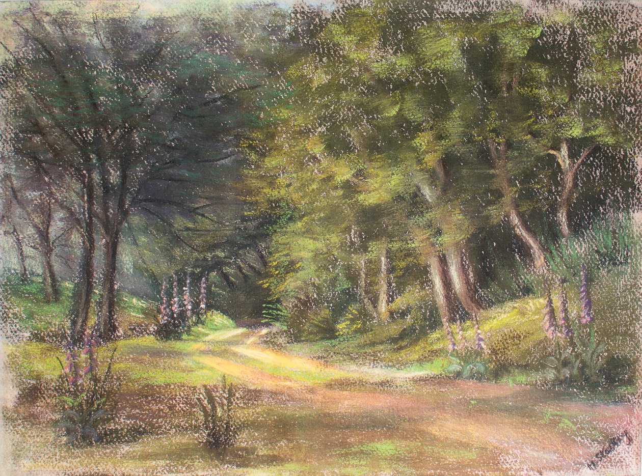 Wandeling in het Bos, Somerset, 1995 door Margo Starkey