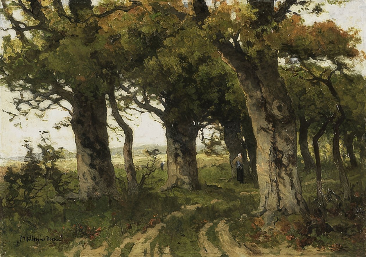 Eikenlaan in de nazomer. 1880-1900 door Maria Bilders van Bosse