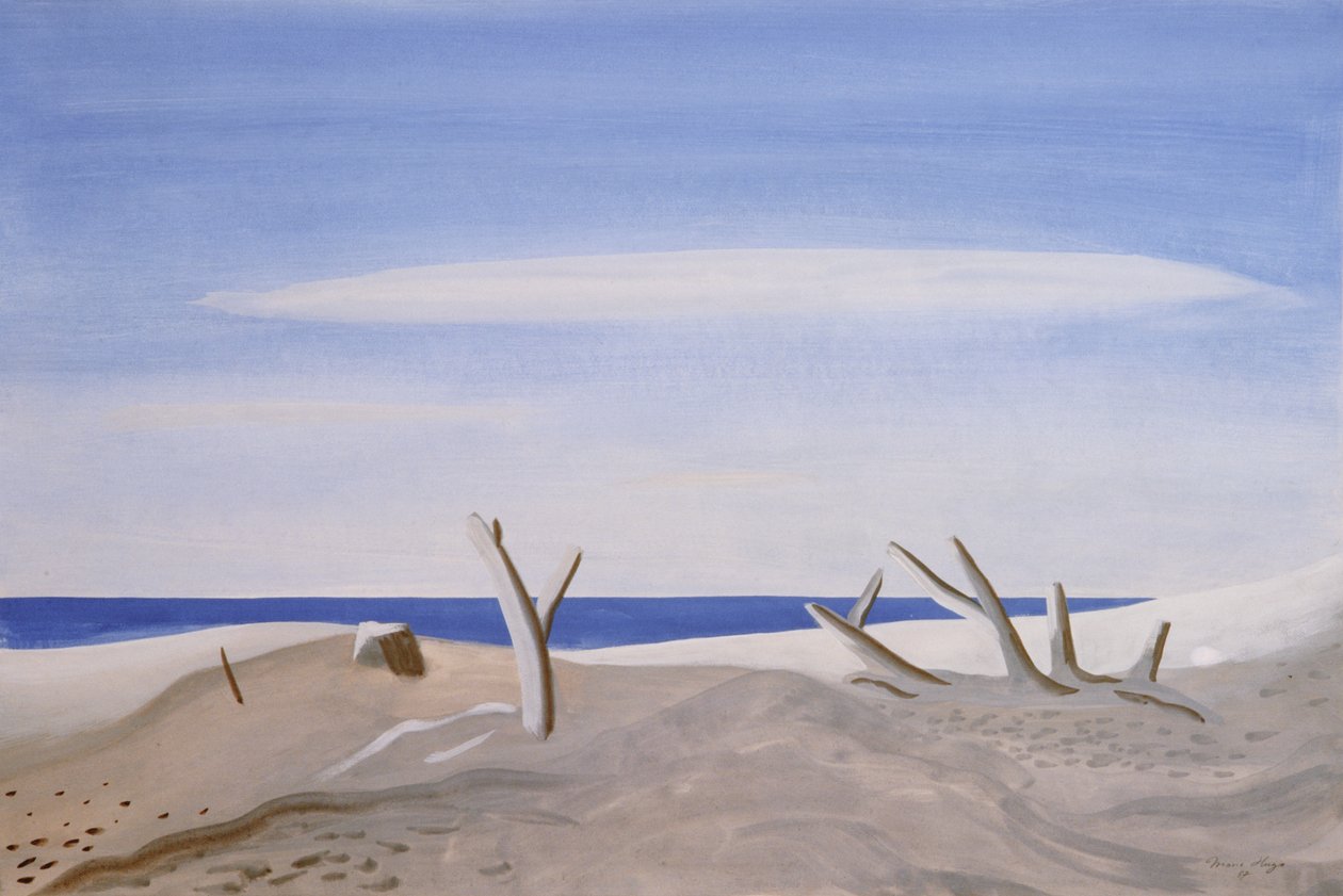 Driftwood van Grand Radeau door Marie Hugo