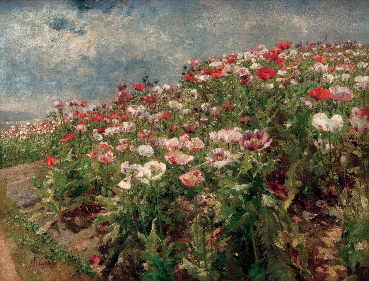 Bloeiende papaver, motief uit St. Georgen bij Melk door Marie Egner