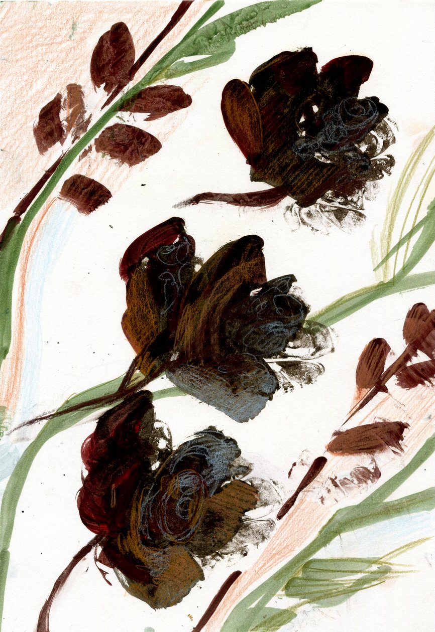 Droge Bloemen door Marina Falco