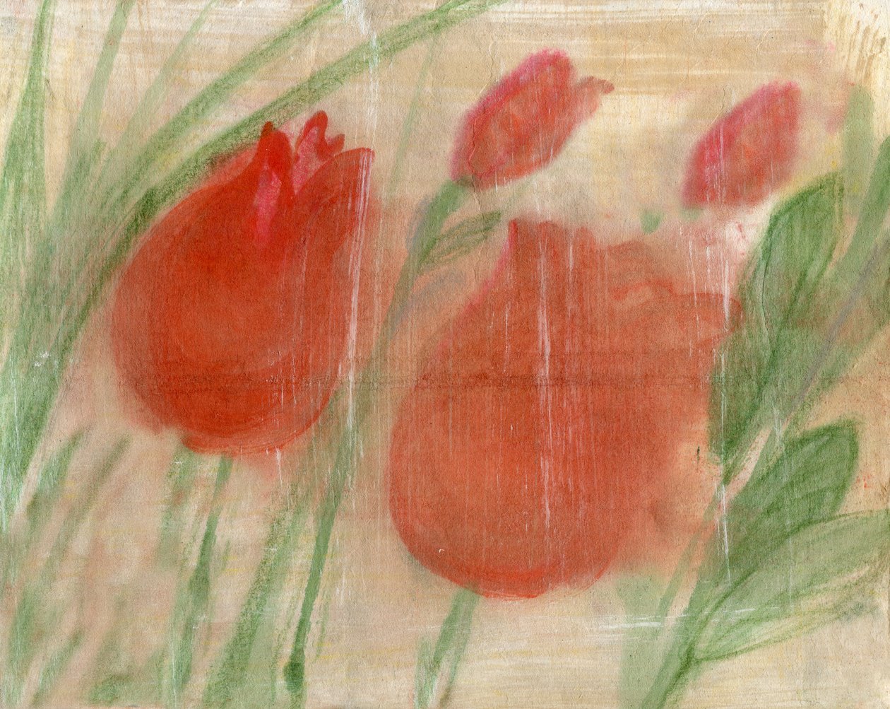 Rode Tulpen door Marina Falco