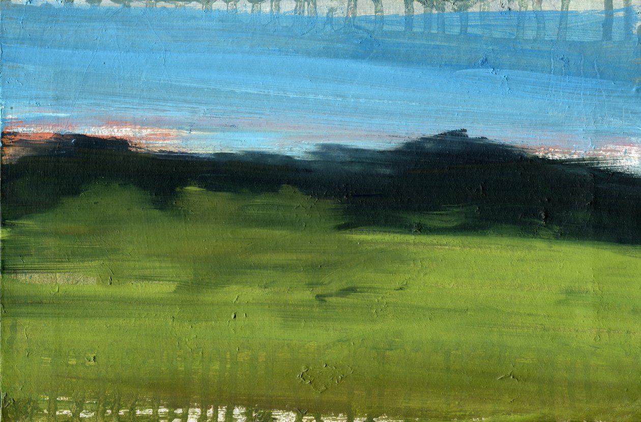 Ongeziene Landschap, 2023 door Marina Falco