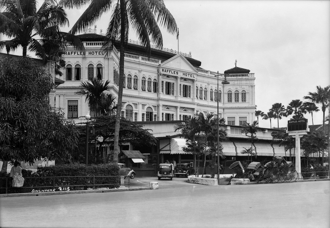 Een uitzicht op het Raffles Hotel, Singapore door Marine Photo Service