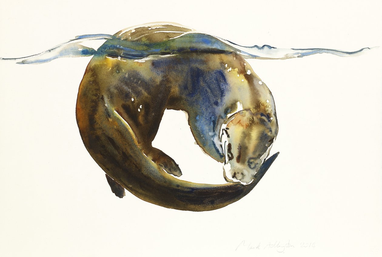 Cirkel van het leven, 2014 door Mark Adlington