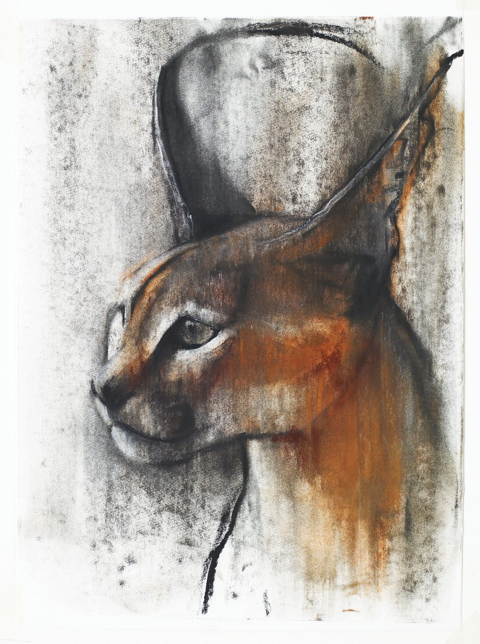 Egyptische (Arabische Caracal), 2009 door Mark Adlington