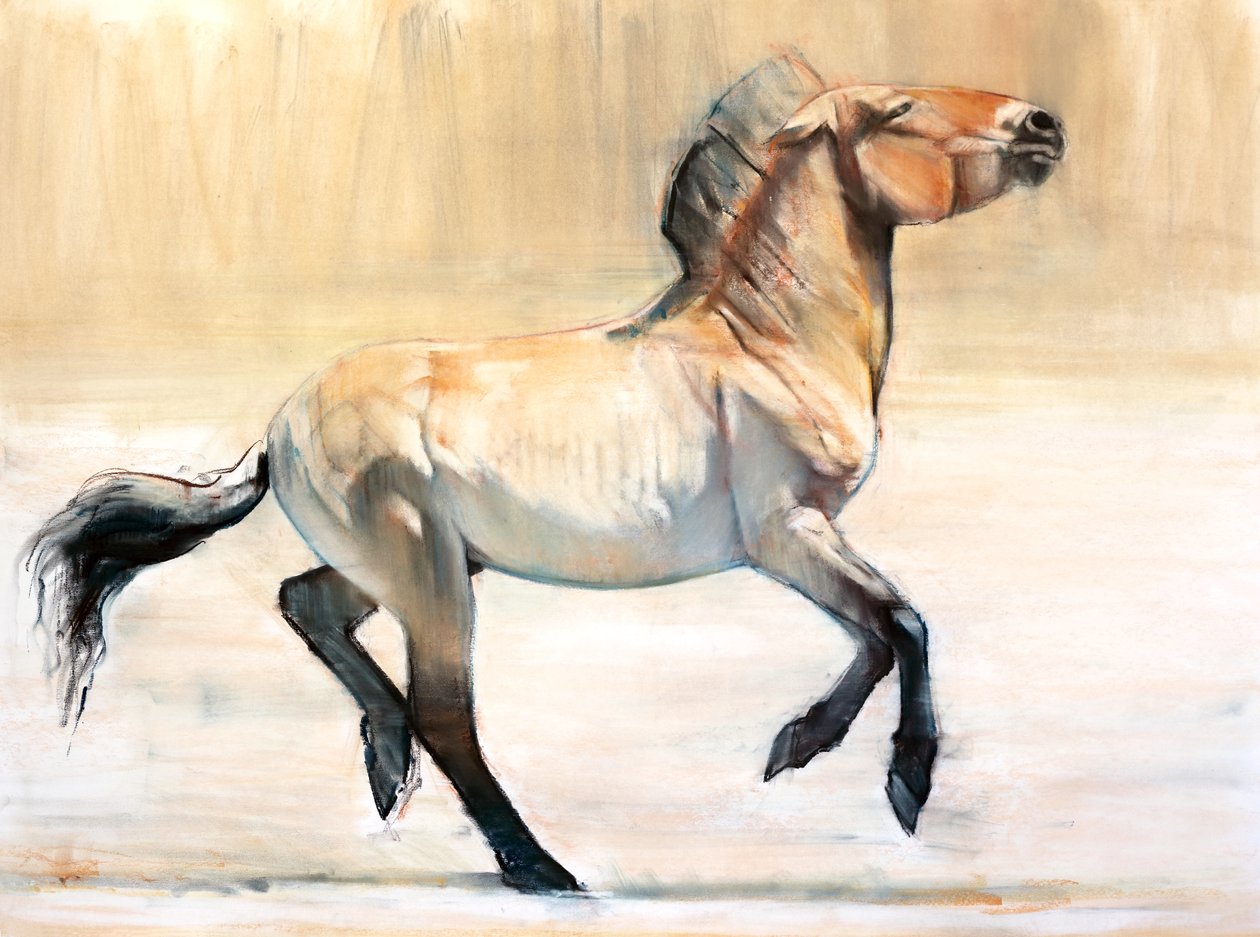 Equus (Przewalski) door Mark Adlington