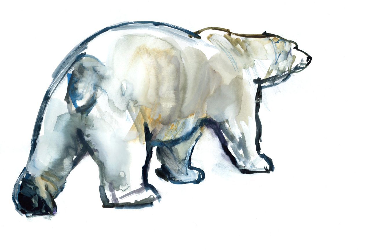Glacier Mint (ijsbeer), 2013 door Mark Adlington