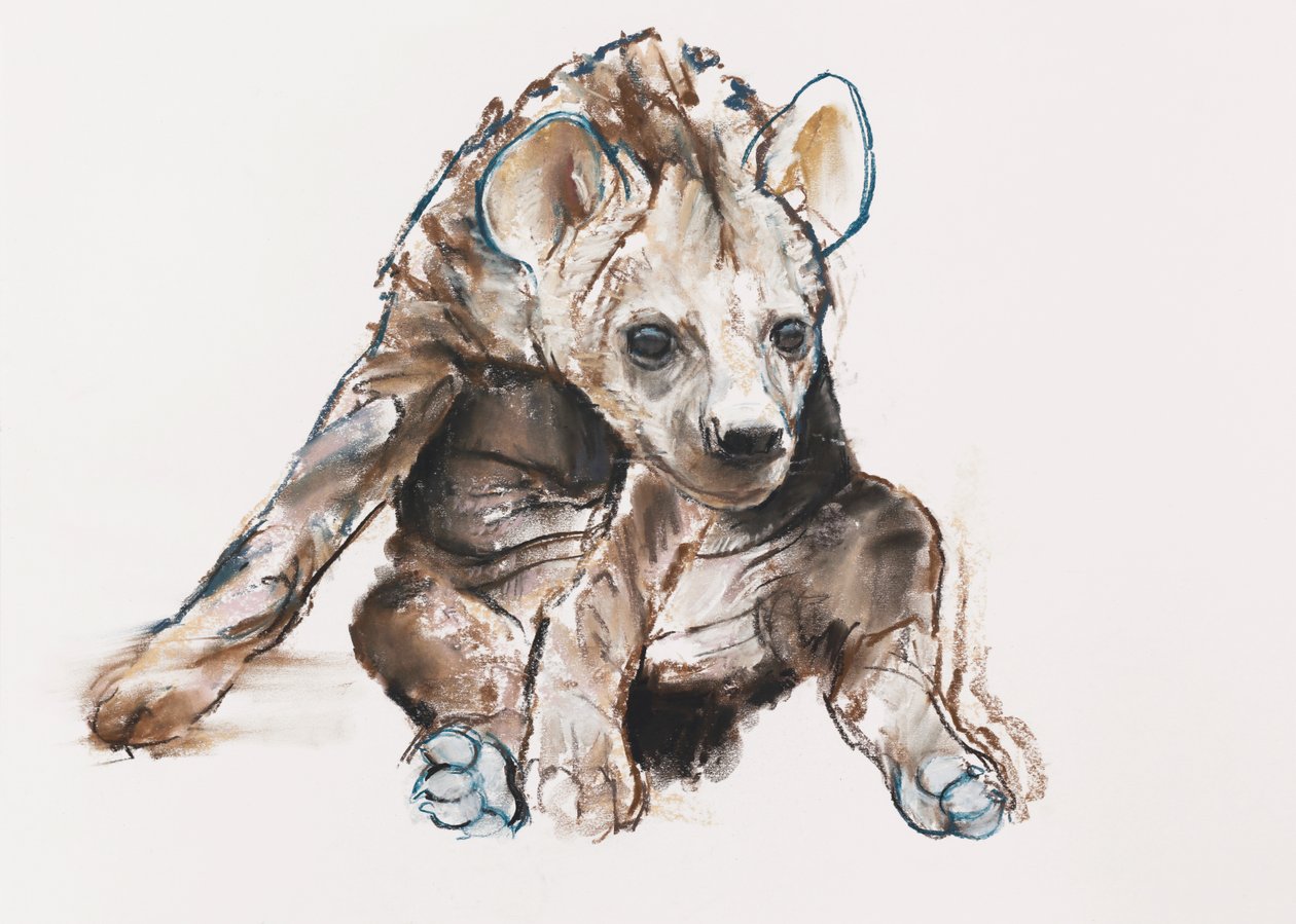 Hyena welp (hoofd naar beneden) door Mark Adlington