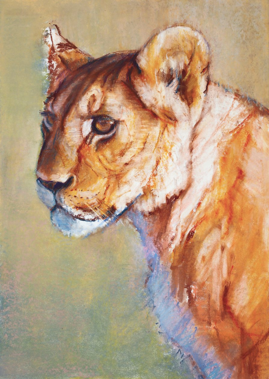 Uitkijkpunt, 2019 door Mark Adlington