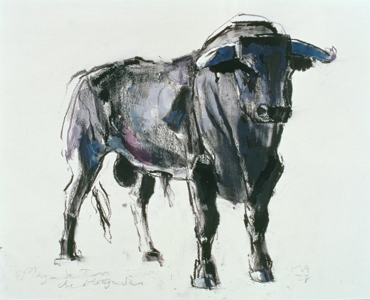 Plaza de Toros de Miajadas, 1998 door Mark Adlington