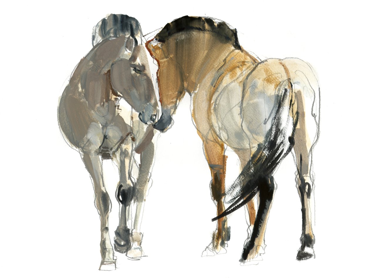 Rencontre (Przewalski), 2013 door Mark Adlington