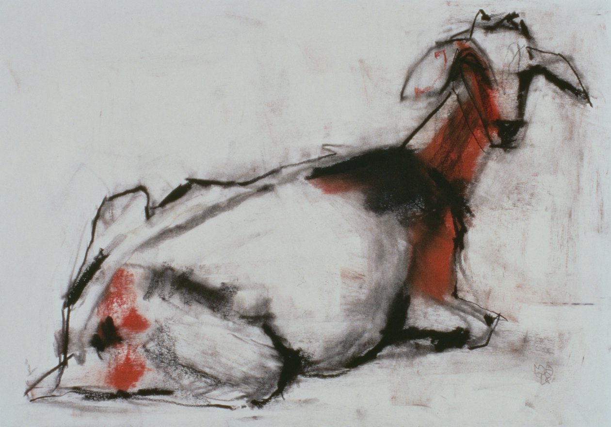 Zittende Geit, 1998 door Mark Adlington