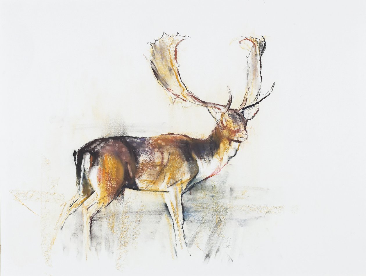 Studie van een Hert door Mark Adlington