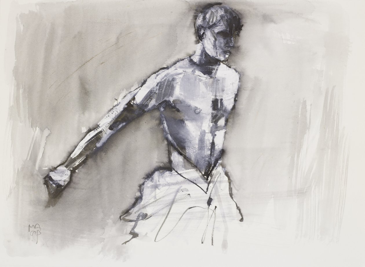 Zwanenmeer door Mark Adlington