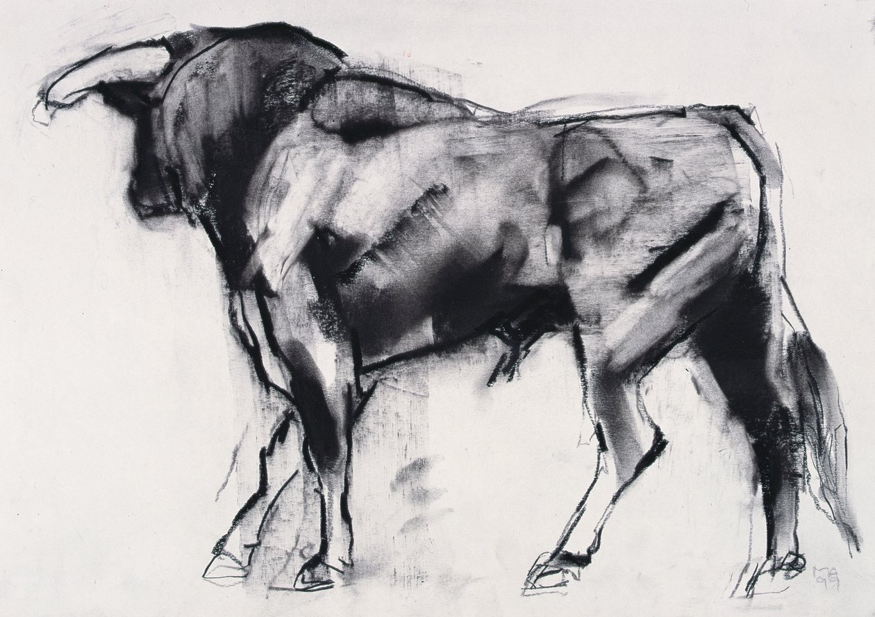 Toro Azul, studie door Mark Adlington